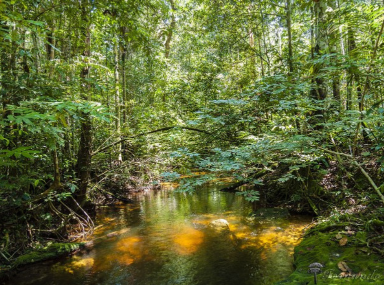 Banner Noticias 780x580 (82).png