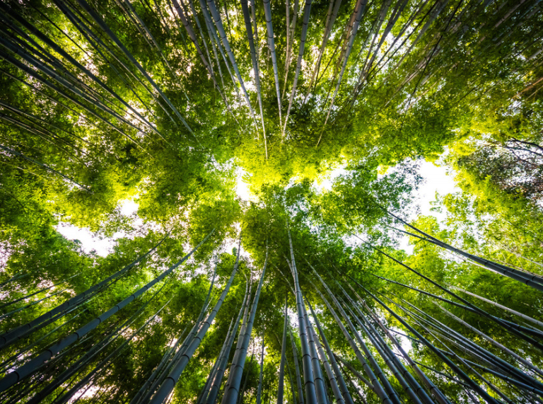 Banner Noticias 780x580 (11).png