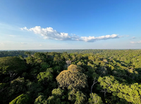 Cooperação Brasil-Alemanha: CNPq/DFG investem R$ 4 milhões em até 10 projetos de pesquisa; inscrições até 15/12