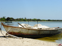 Programa Jovem Cientista da Pesca Artesanal: inscrições prorrogadas até 24/03