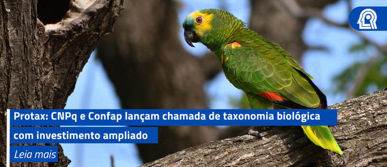 Protax: CNPq e Confap lançam chamada de taxonomia biológica com investimento ampliado
