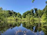 CNPq e Fapeam firmam acordo para fortalecer pesquisas do SinBiose no Amazonas