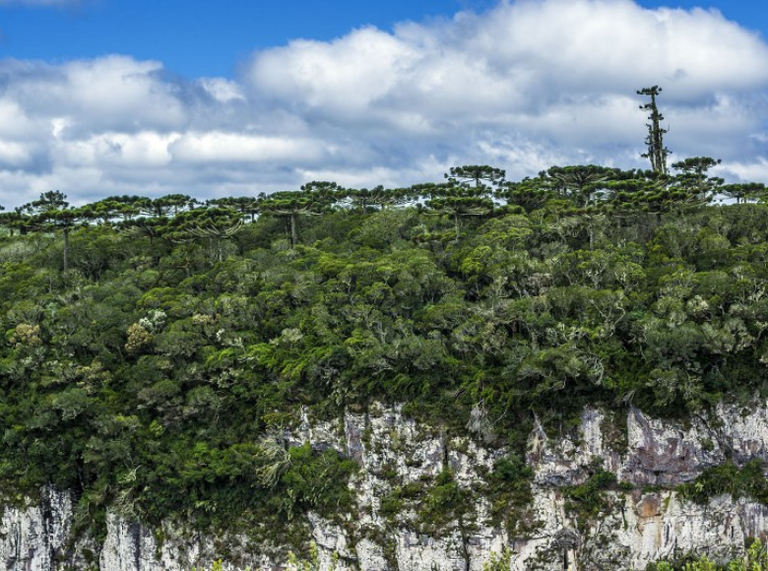 Aparados da Serra - Canions do Sul Fotográfo Fernando Pinheiro_780 x 580.png
