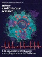 Estudo de pesquisadores brasileiros é matéria de capa da Nature Cardiovascular Research