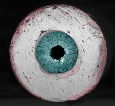 2º lugar_CAT II_Waldemir José Paschoalino Junior - CNPEM.jpg