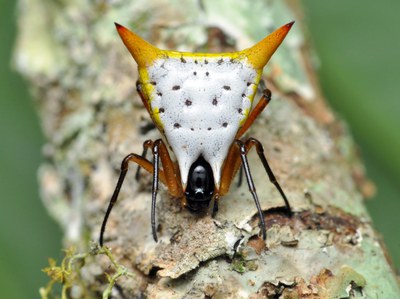 3º lugar_CAT I_Pedro Henrique Martins -  UFMG.jpg