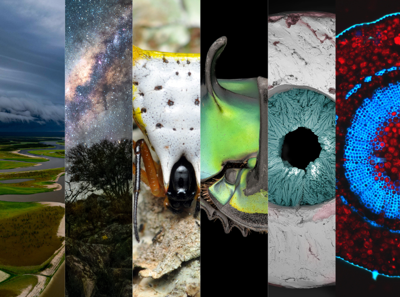 O prêmio tem 2 categorias, com premiações de R$ 15 mil para o 1º colocado; R$ 10 mil para o 2º colocado; e R$ 5 mil para o 3º colocado.