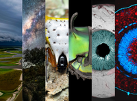 Prêmio de Fotografia - Ciência & Arte completa 15 anos; inscrições até 20/02