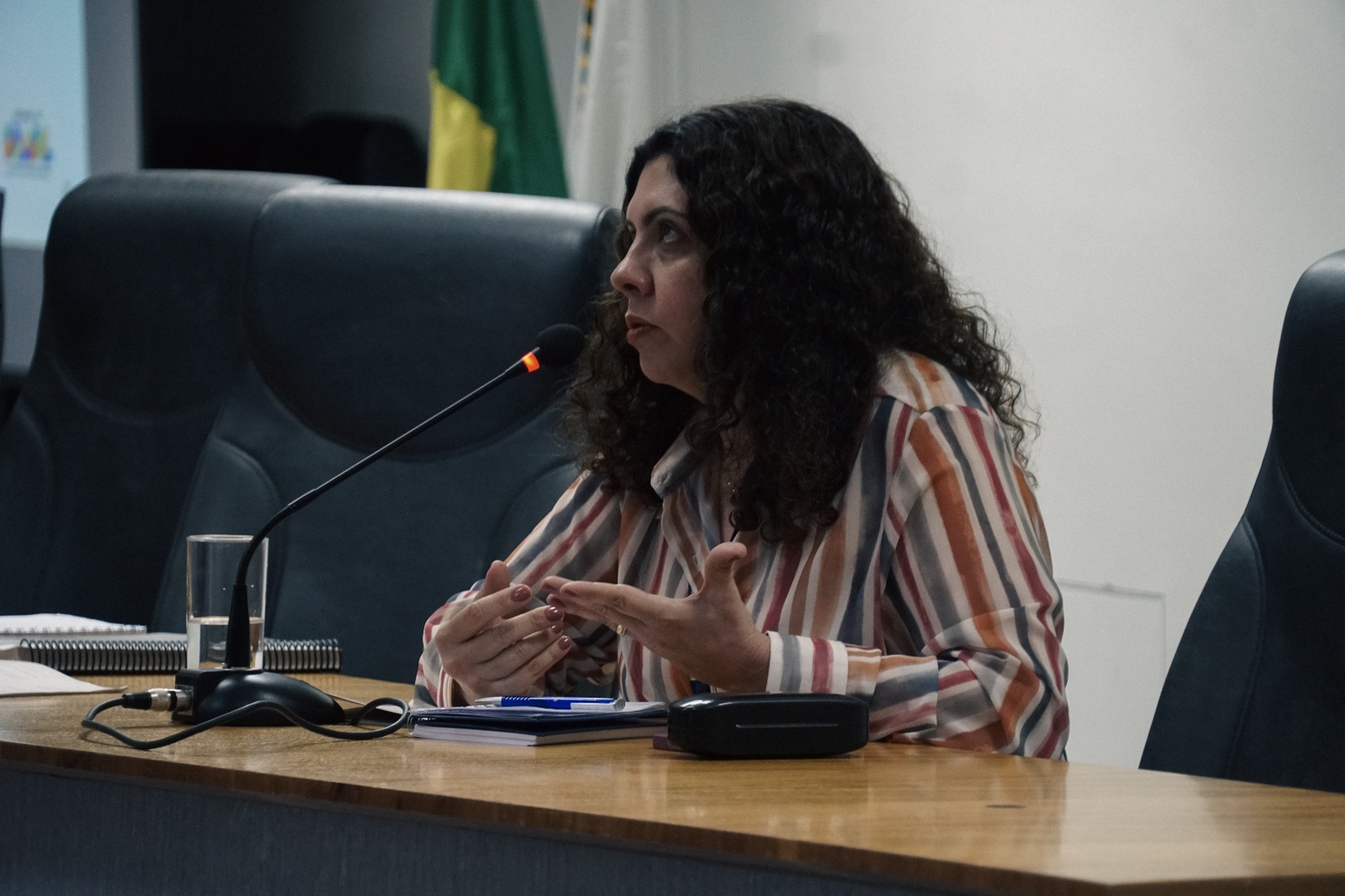 40. Kristiane Mattar, Coordenadora Geral de Engenharias e Tecnologia do CNPq