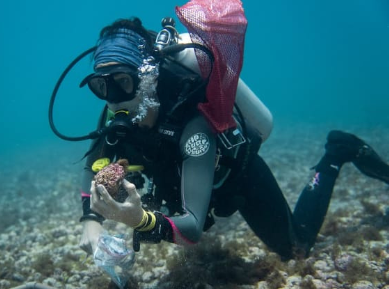 Pesquisa ecológica: CNPq realiza reunião de avaliação do Programa Ecológico de Longa Duração
