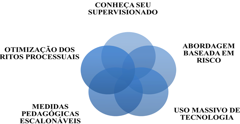 Princípios de Supervisão do Coaf