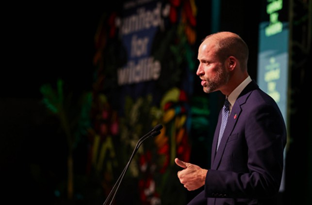 William, príncipe de Gales, do Reino Unido. (Fonte: The Royal Foundation)