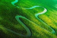 Gafi cita avanços do Brasil no combate à lavagem de dinheiro e ao financiamento do terrorismo