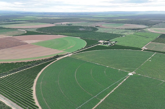 Vista aérea de plantações circulares e estradas em área rural