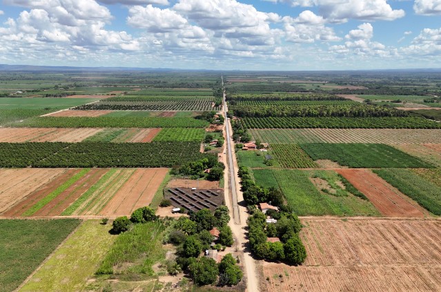 Vista aérea de áreas agrícolas cortadas por estrada rural.