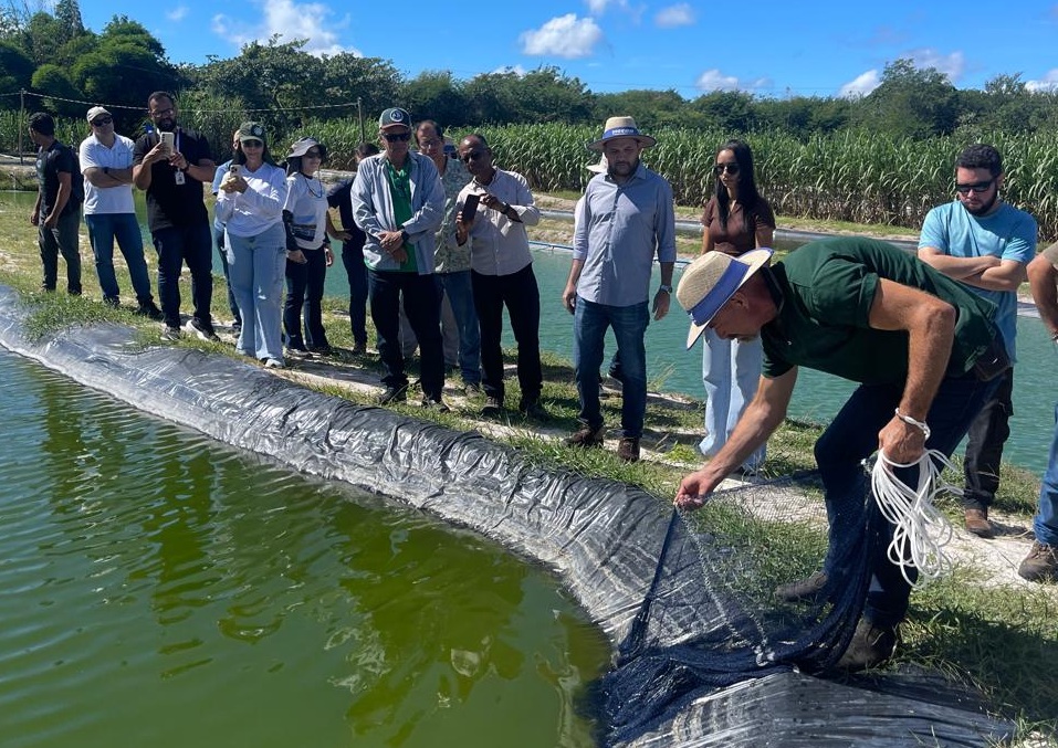 Homem puxa rede de pesca em tanque artificial sob o olhar de um grupo de pessoas ao ar livre.
