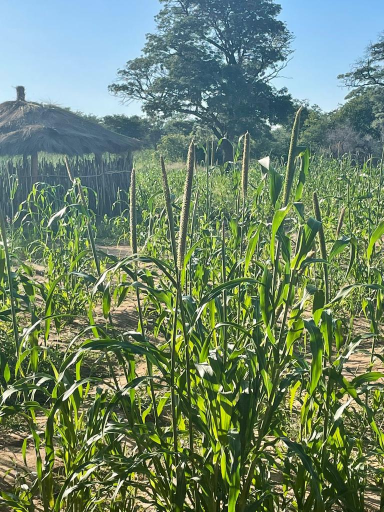 WhatsApp Image 2022-05-04 at 16.26.25 (3).jpeg