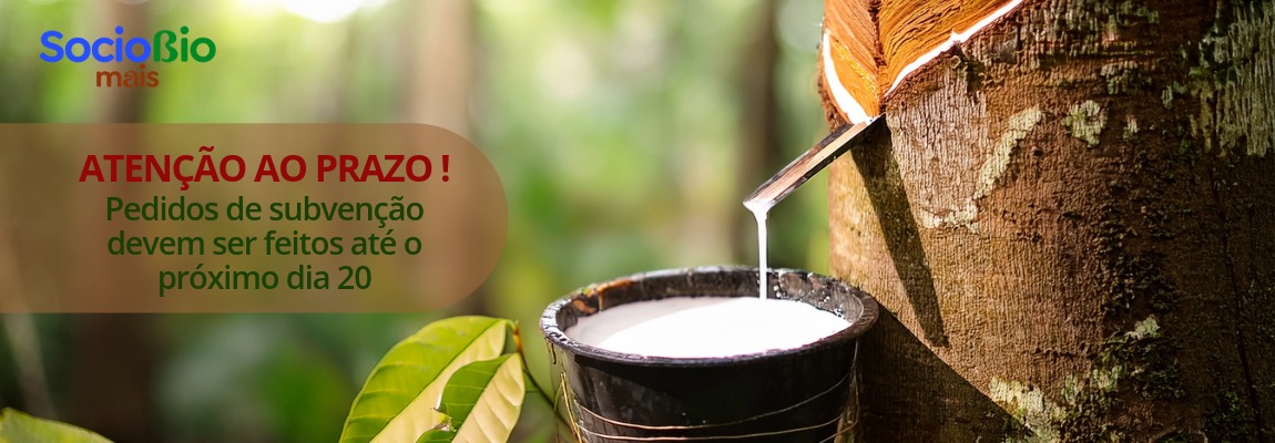 01.12.25 - Prazo Sociobio Mais_banner.jpeg
