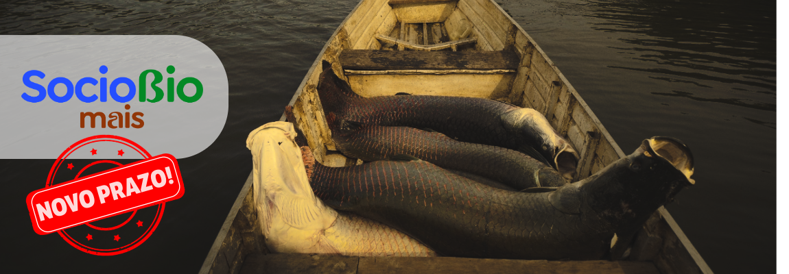 Banner-Novo-Prazo-22-12-25