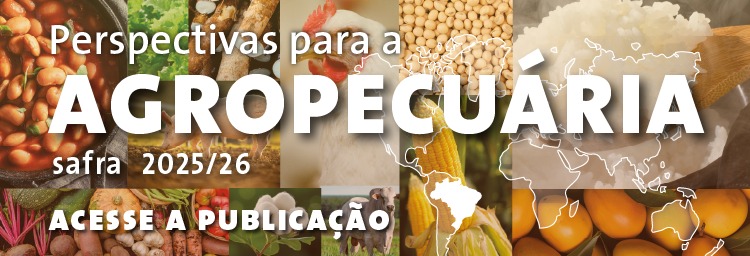 Banner - Perspectivas para a Agropecuária - Acesse a Publicação