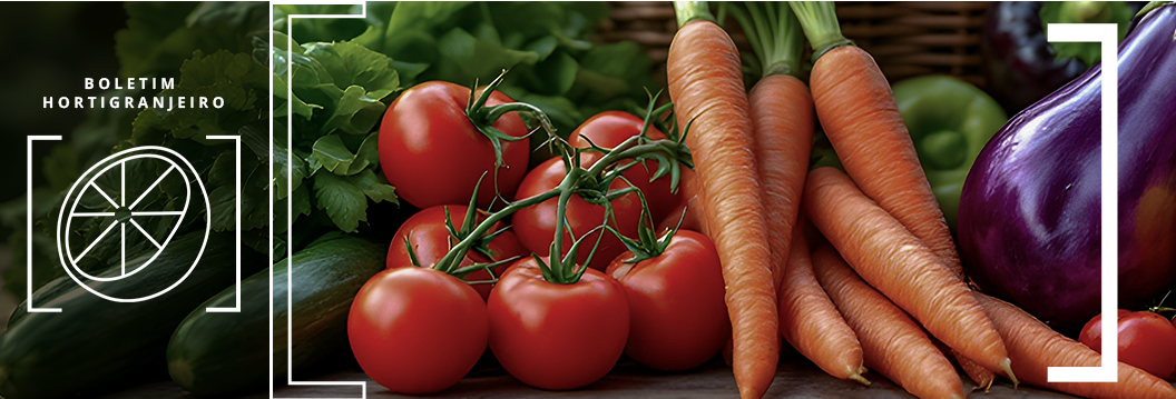 Boletim Hortigranjeiro com tomates, cenouras, pepino e berinjela em primeiro plano, folhas ao fundo.