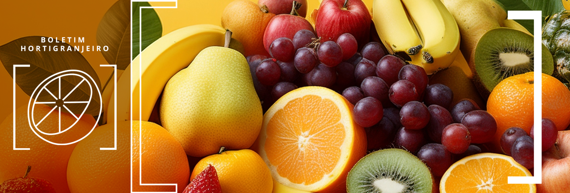 Imagem 4º Boletim Prohort 2025. Cesta de frutas contendo, pera banana, laranja, uva, maçã, kiwi.