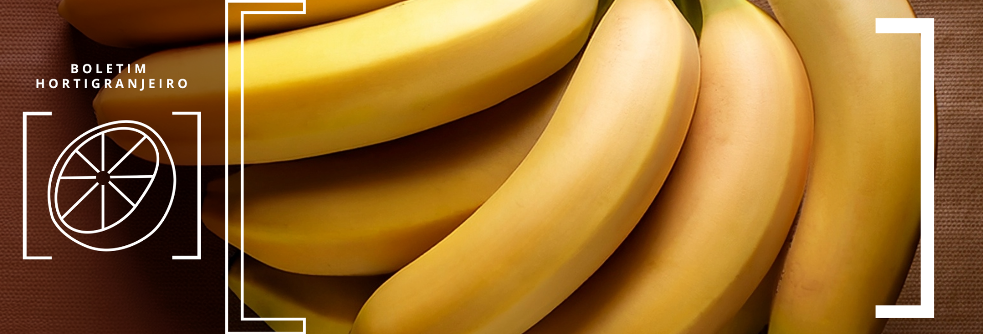 Imagem de uma banana. Texto: 3º Boletim Hortigranjeiro de 2025