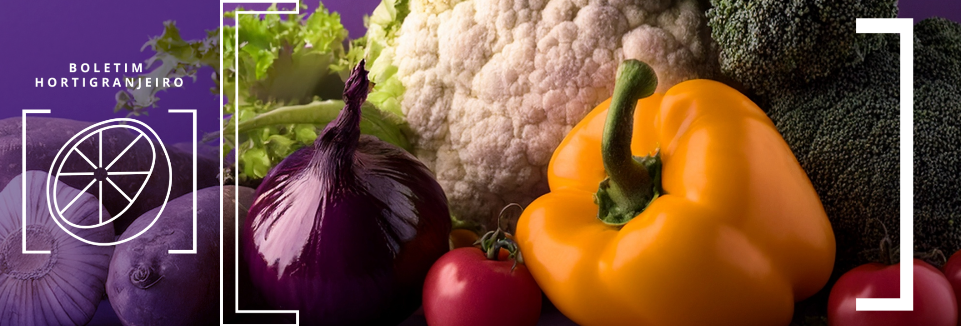 Imagem 5º Boletim Prohort 2025. Imagem contendo pimentão, brócolis, couve-flor, alho. cebola, alface, tomate, batata-doce