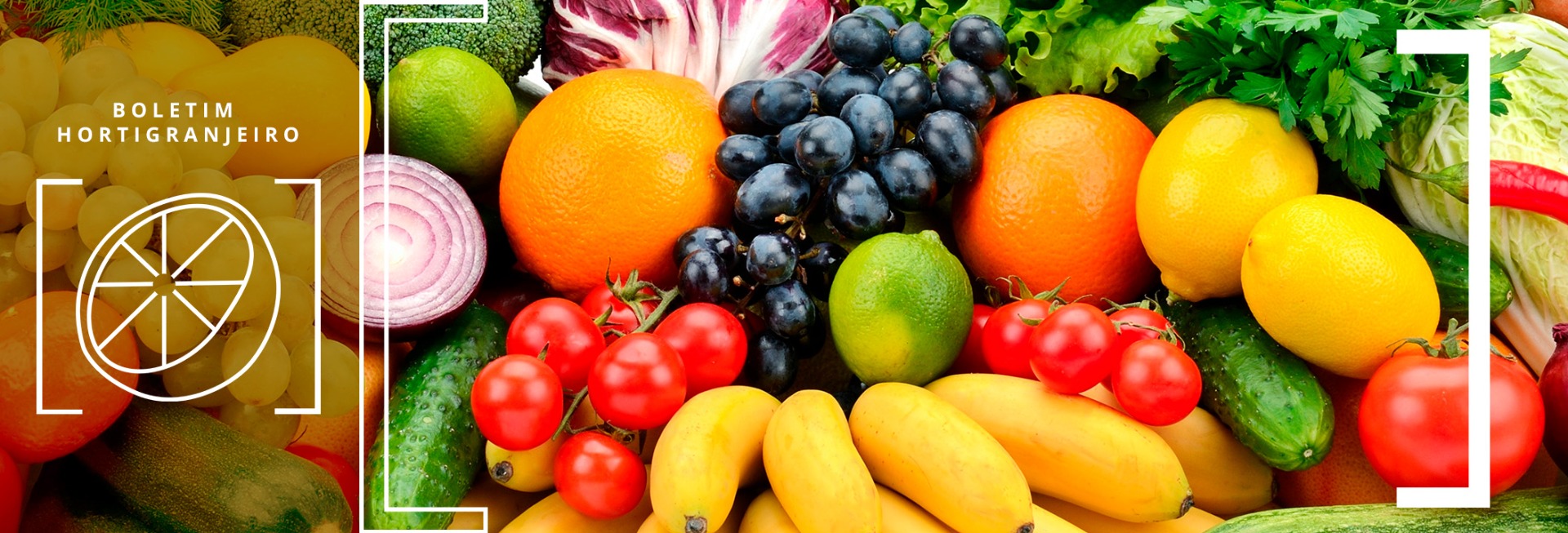  Imagem de frutas e hortaliças diversas. Texto: 4º Boletim Hortigranjeiro de 2026