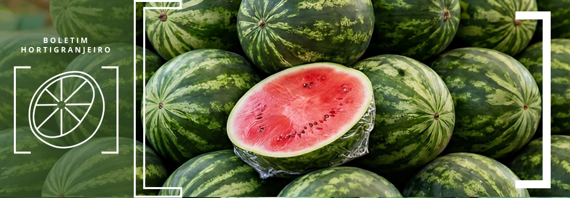  Imagem de melancias. Texto: 9º Boletim Hortigranjeiro de 2026
