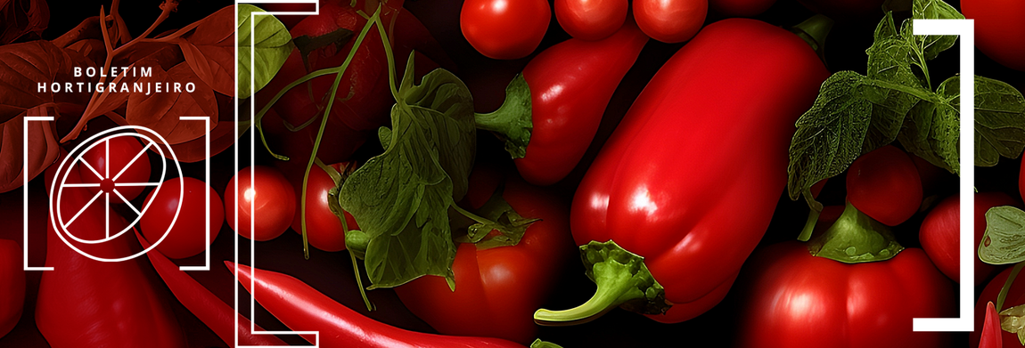 Imagem de pimentões vermelhos e tomates. Texto: 12º Boletim Hortigranjeiro de 2025