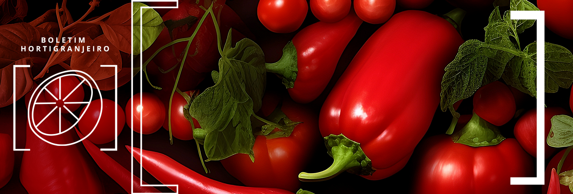 Imagem de pimentões vermelhos e tomates. Texto: 12º Boletim Hortigranjeiro de 2025