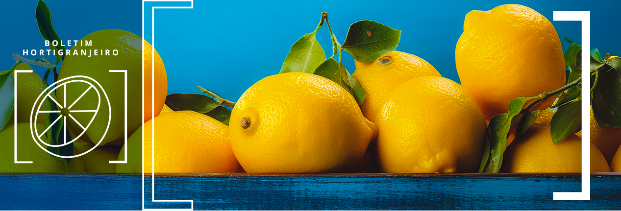 Imagens de limões. Texto: 2º Boletim Hortigranjeiro de 2026