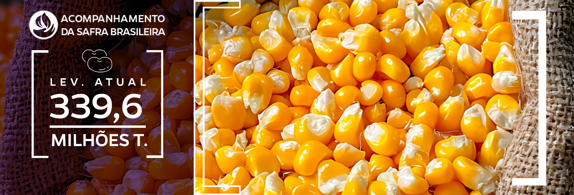 10º Levantamento da Safra de Grãos 2024/25