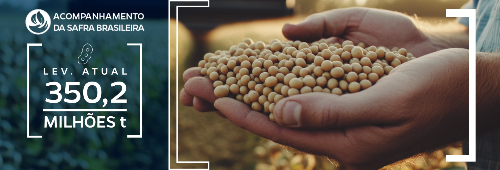 Banner: 12º Levantamento da Safra de Grãos 2024-2025