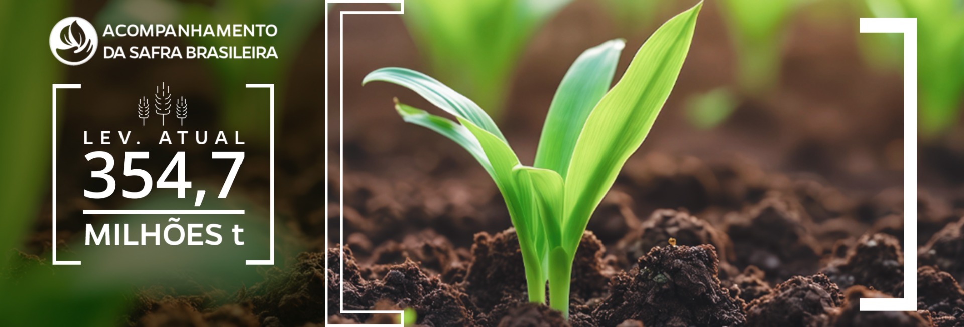 Planta em início de semeadura com estimativa de produção de grãos de 354,7 milhões de toneladas