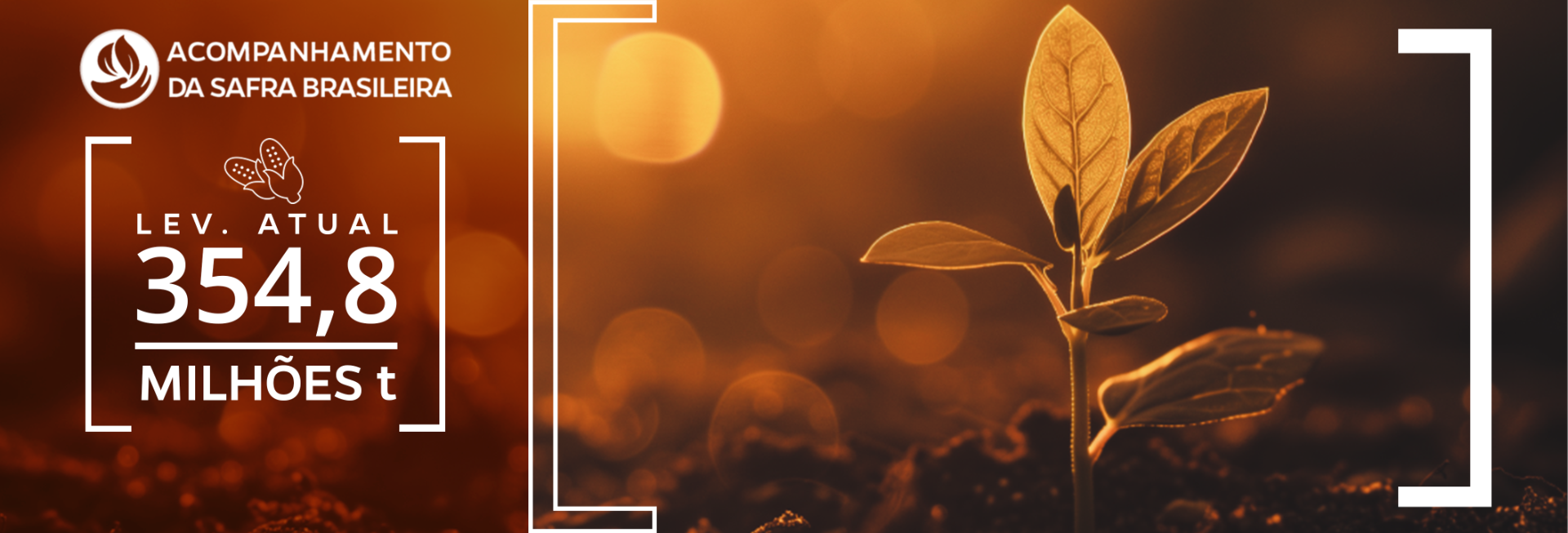 Planta emergindo no solo com estimativa de 354,8 milhões de toneladas de grãos na safra 2025/26