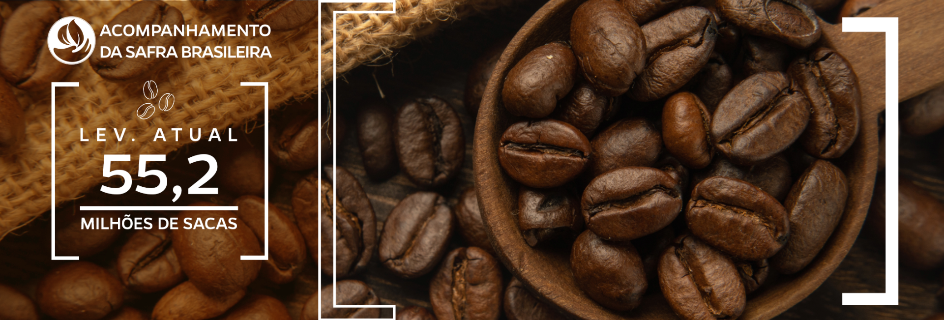 Imagem com grãos torrados de café e estimativa de 55,2 milhões de sacas