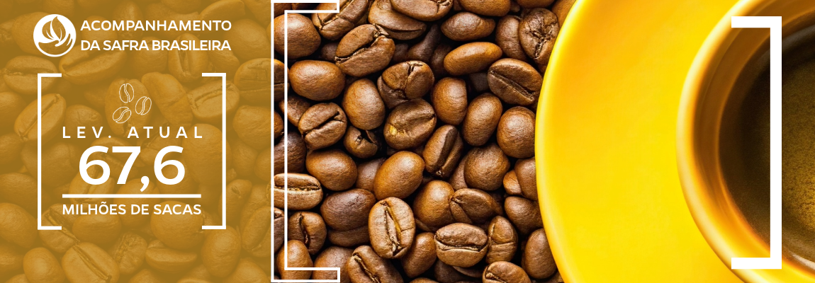  Imagem de grãos café e uma xícara da bebida com estimativa de produção de 67,6 milhões de sacas 