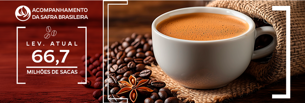 Imagem de xícara de café com grãos na mesa ao redor e com estimativa de 66,7 milhões de sacas
