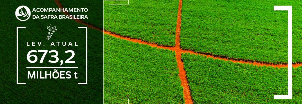 Imagem de canavial e estimativa do 4º Levantamento da safra de cana-de-açúcar com uma produção estimada em 673,2 milhões de toneladas