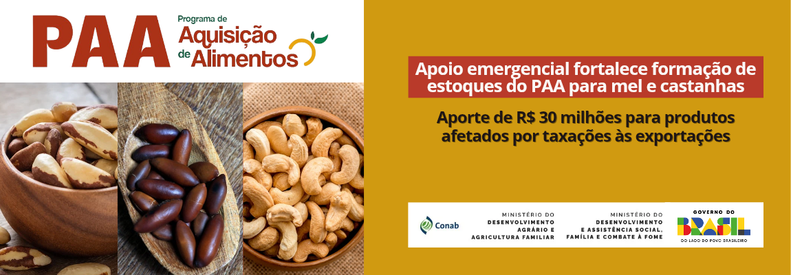 PAA - Banner_20251203_091058_0000.png