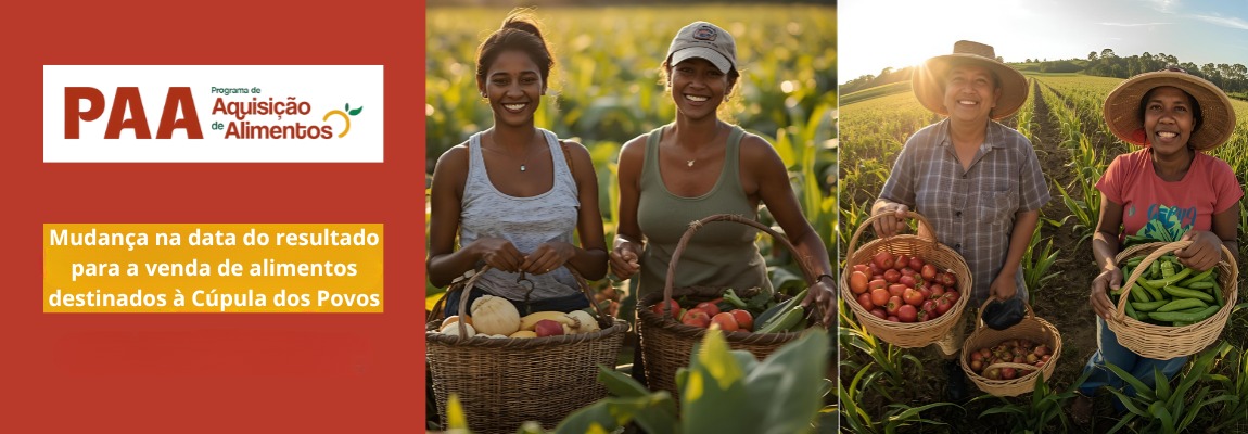 WhatsApp Image 2025-10-13 at 17.52.43.jpeg