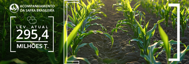 Ajustes na área de milho e soja resultam em uma produção de 295,45 milhões de toneladas na safra 2023/2024