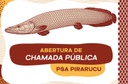 Imagem:  AMAZONAS - Conab e MMA lançam primeira chamada pública do PSA Pirarucu