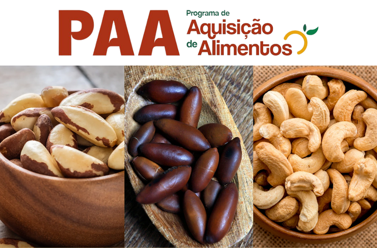 Imagem:  Apoio emergencial fortalece formação de estoques do PAA para mel e castanhas