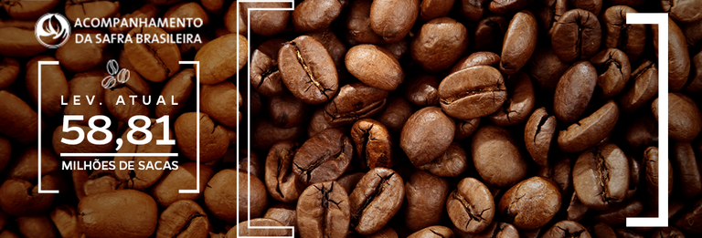 Atual estimativa traz produção de café em 58,81 milhões de sacas na safra 2024