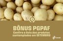 08.09.26 - Bônus PGPAF-4-Bônus PGPAF_Destaque Novo Site.png
