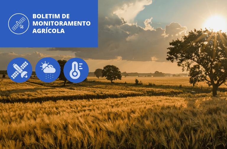 Imagem: Boletim aponta índices de vegetação acima da média histórica nos cultivos de inverno