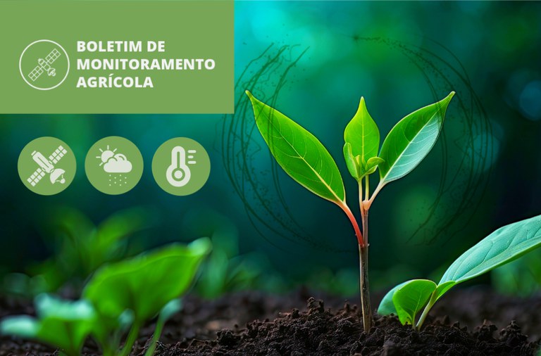 26.06.25-4-BMA_Destaque Novo Site.jpeg